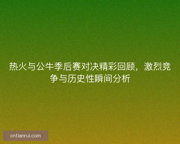 热火与公牛季后赛对决精彩回顾，激烈竞争与历史性瞬间分析